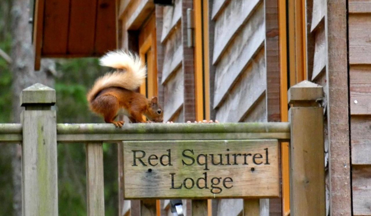 Cairngorm Lodges Aboyne Zewnętrze zdjęcie