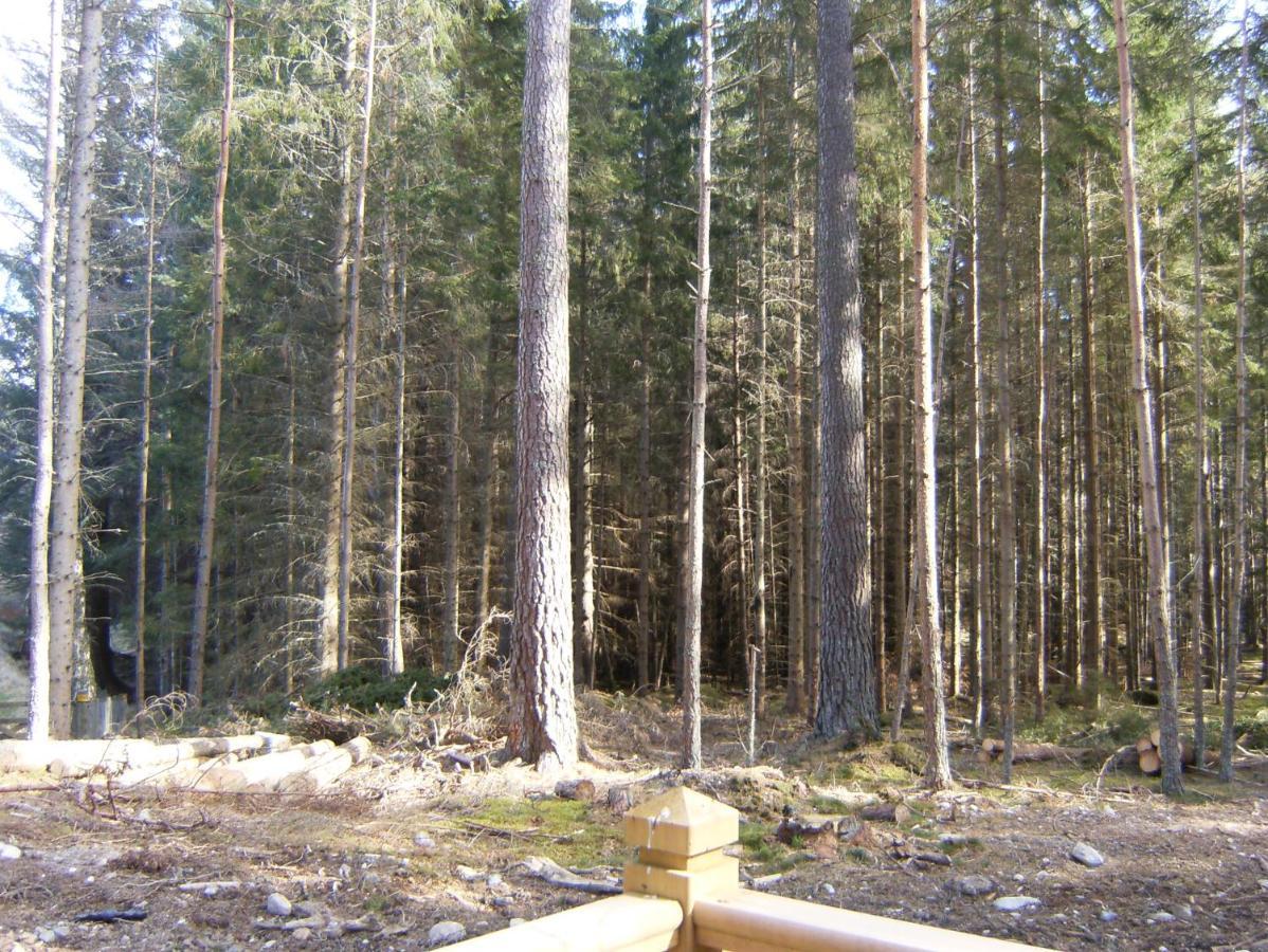Cairngorm Lodges Aboyne Zewnętrze zdjęcie