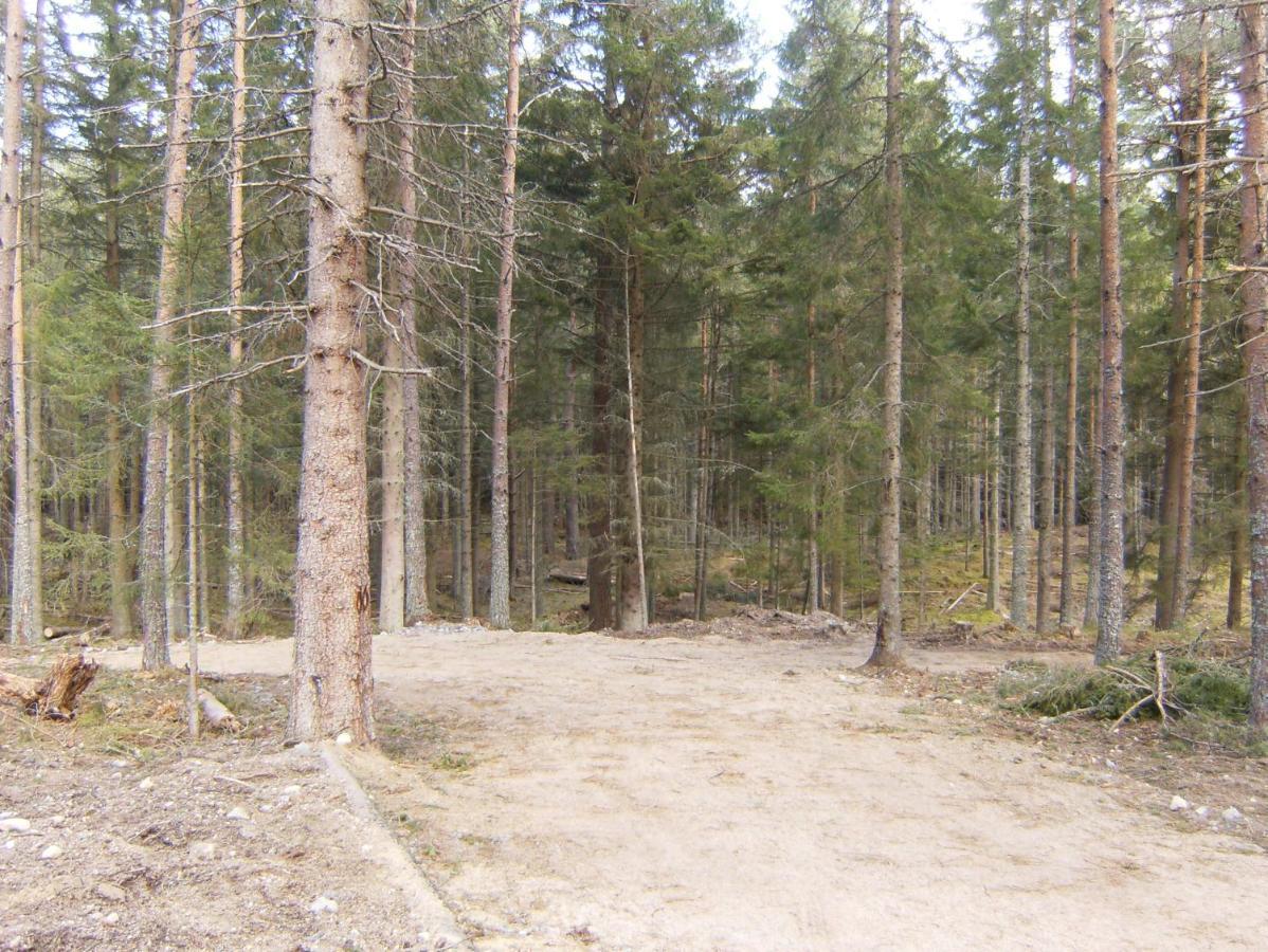 Cairngorm Lodges Aboyne Zewnętrze zdjęcie