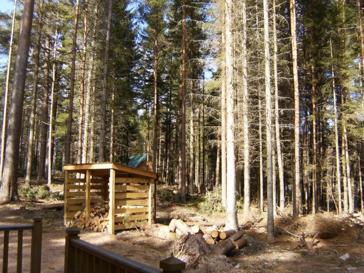 Cairngorm Lodges Aboyne Zewnętrze zdjęcie