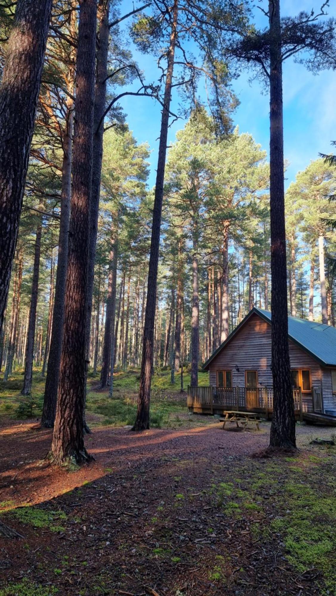 Cairngorm Lodges Aboyne Zewnętrze zdjęcie