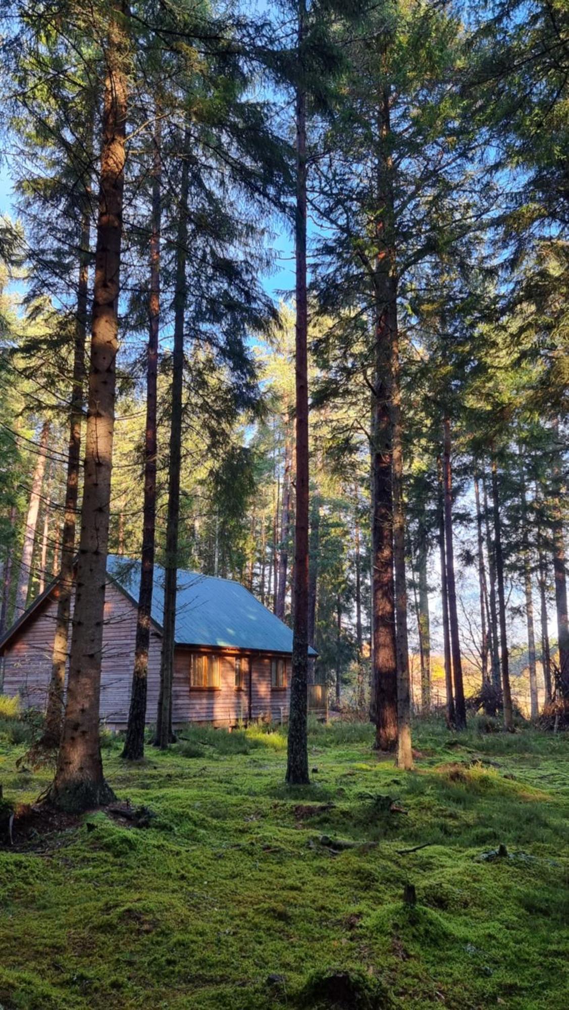 Cairngorm Lodges Aboyne Zewnętrze zdjęcie