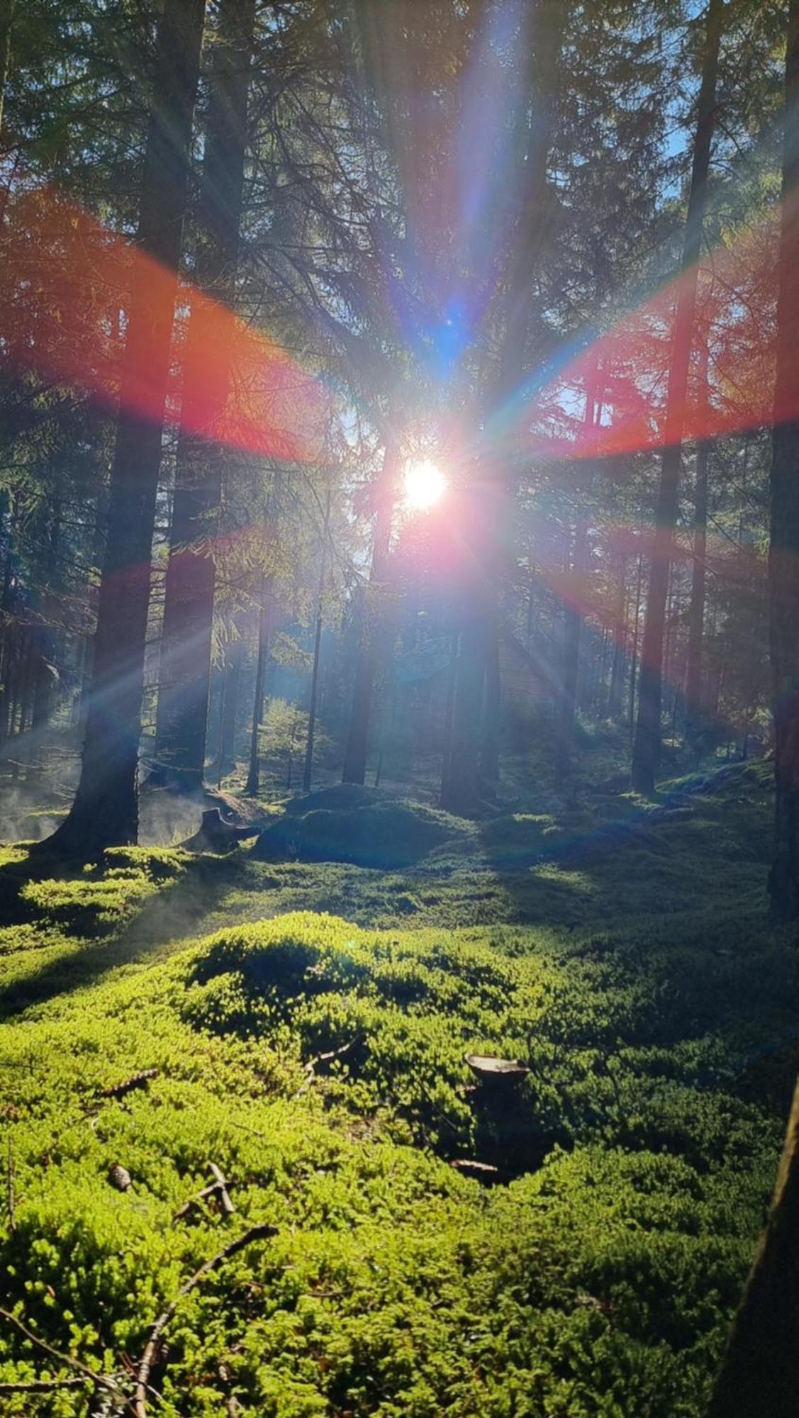 Cairngorm Lodges Aboyne Zewnętrze zdjęcie