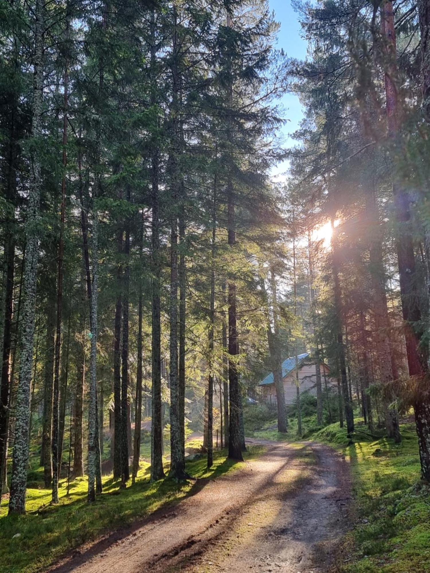 Cairngorm Lodges Aboyne Zewnętrze zdjęcie