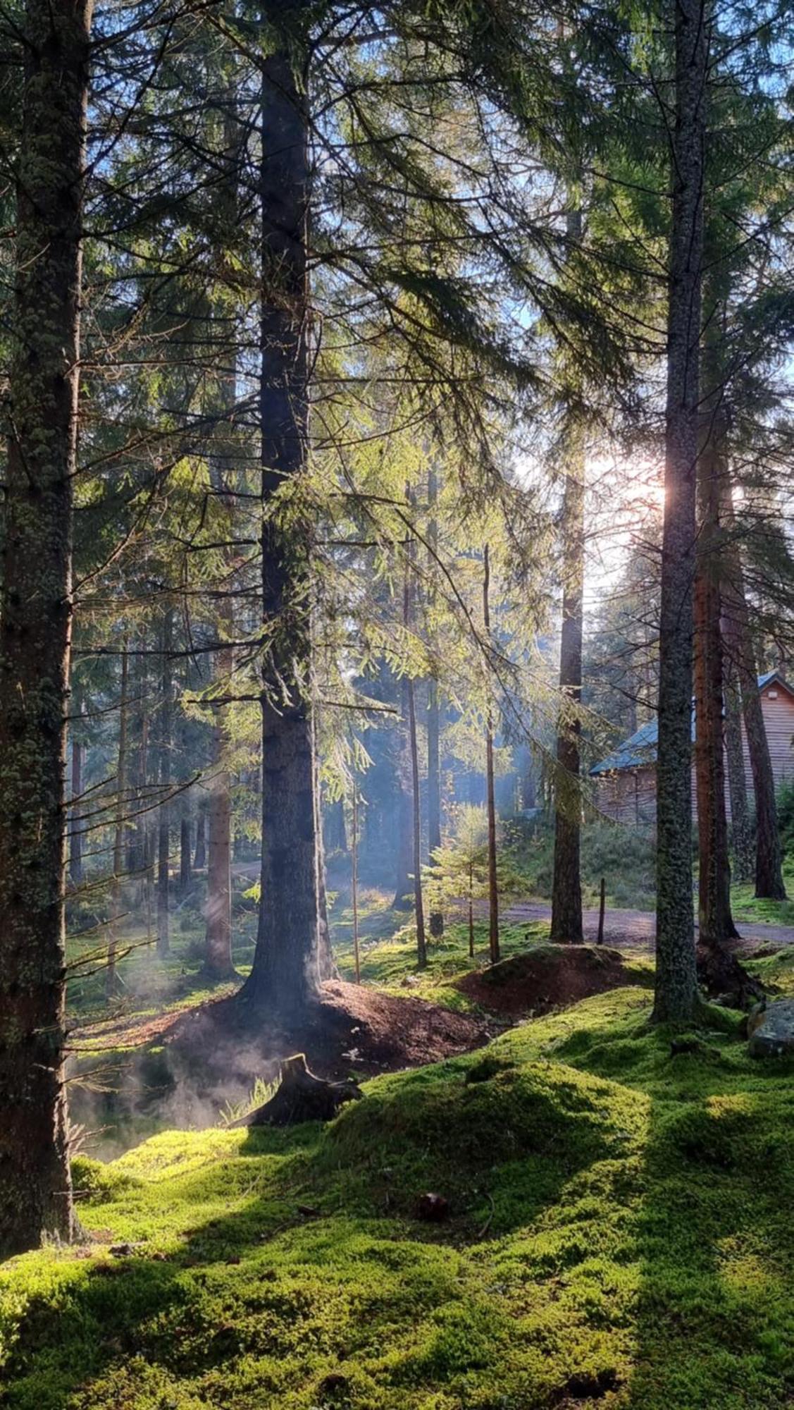 Cairngorm Lodges Aboyne Zewnętrze zdjęcie