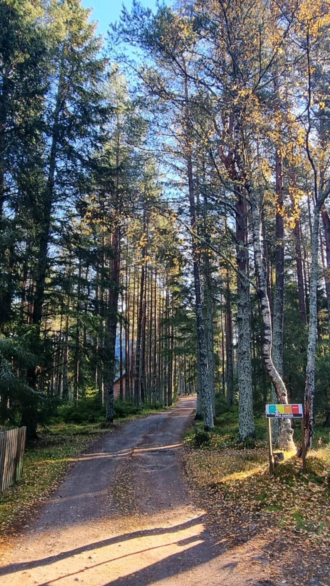 Cairngorm Lodges Aboyne Zewnętrze zdjęcie